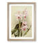 Magnolia Flowers Illustration Tab. 85 by Frederick Sander - Framed Print-55760215-55760217