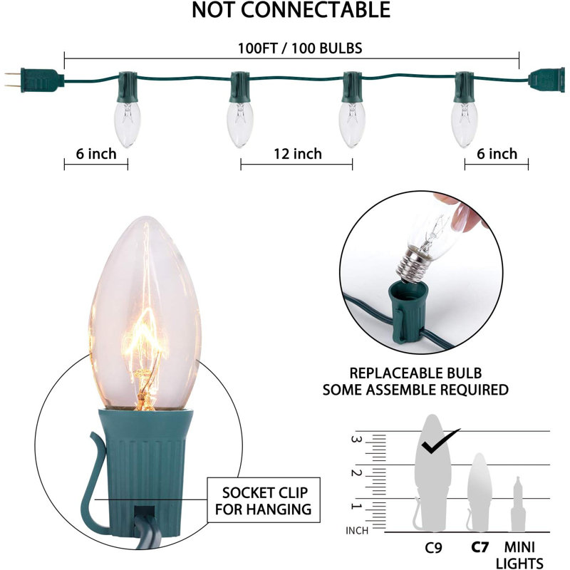 Jarrelle 1200'' String Lights, Green
