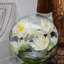 Water Lotus Inside Our Hand-blown Crosswinds Vase-1947380544