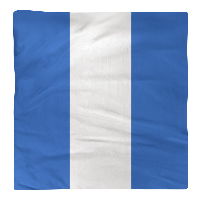 Serviette de l’université la ours, Bleu / Blanc / Bleu, H 10 po x l 10 po x P 0,25 po, Polyester sergé