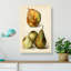 Vintage Illustration Of Pears - Wrapped Canvas-55299615