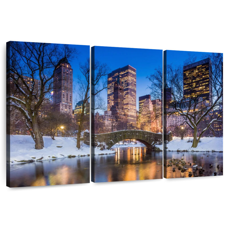 Sebbie Snowy Central Park, H 32 po x l 50 po