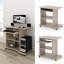 Rawald Computer Desk-2082366160