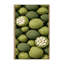  Tapis lavable Cherimoya-1984956258