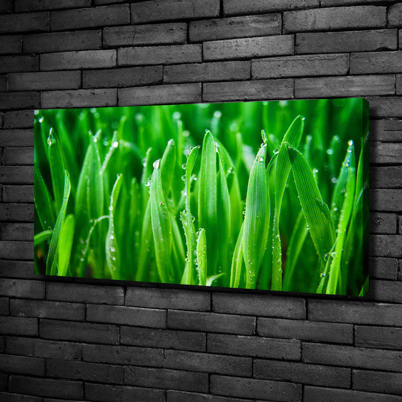 Grass - No Frame Print on Canvas