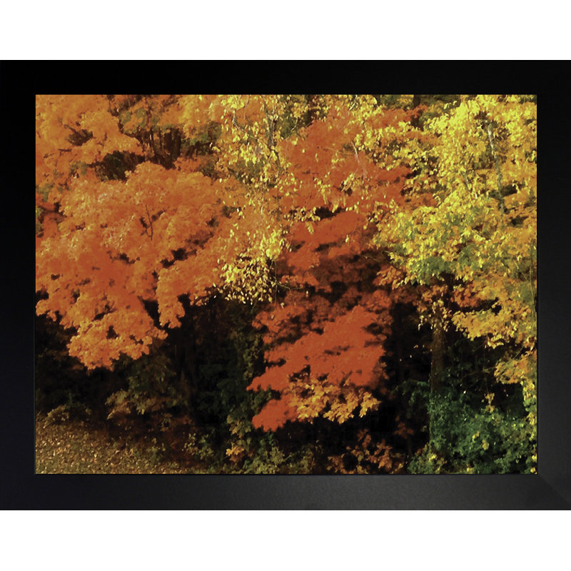 Automne Potourri - photographie, Papier encadré noir, Pas de tapis, H 13,5 po x l 16,5 po x P 1,25 po