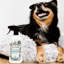 Diffuseur frais pour animaux