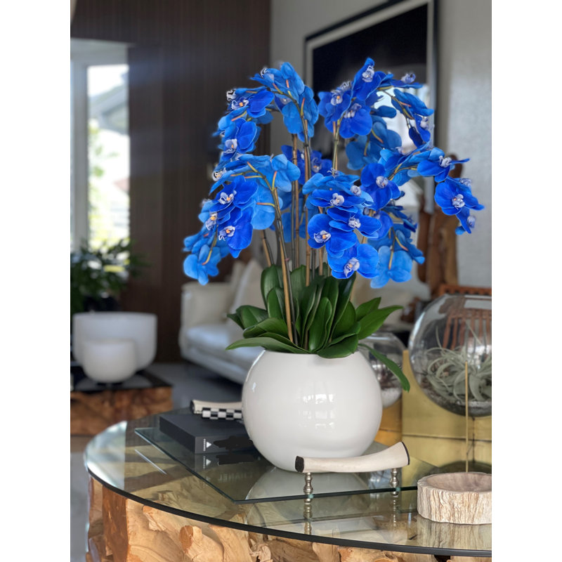 Phalaenopsis Orchid Floral Arrangement in Pot, Blue