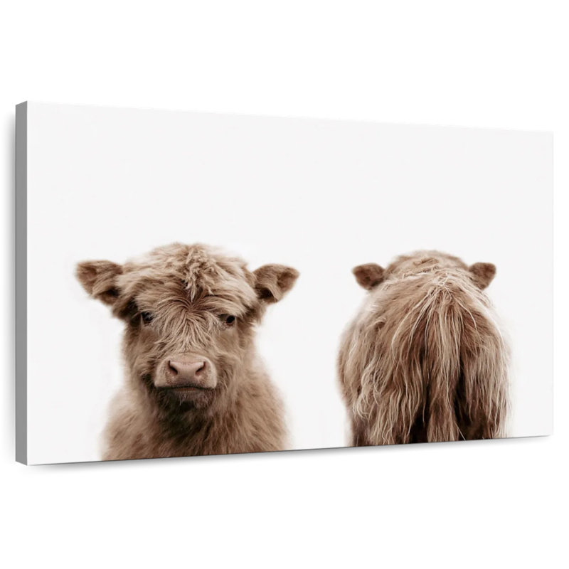 Portrait de vache Brampt Highland, H 32 po x l 48 po