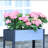 Raised Garden Bed