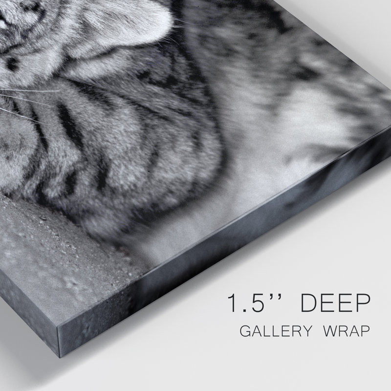 " Snow Leopard Sanctuary ", 18" H x 12" W x 1" D