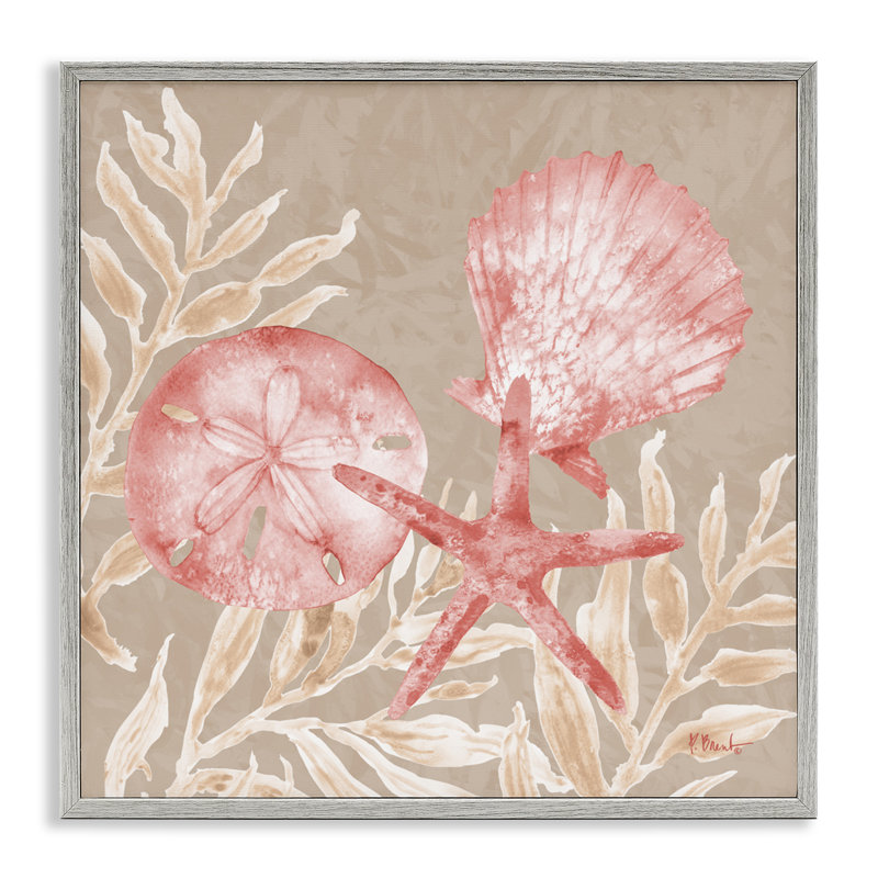 Estampe numérique Tampico Shells & Sand Dollar, design par Paul Brent, Estampe numérique Farmhouse, H 17 po x l 17 po