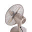 Oscillating Fan