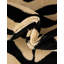 Tapis noir Testerman-19386235