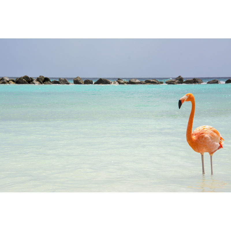 Aruba by Matt Grimaldi - Wrapped Canvas Print, 30cm H x 46cm W x 3.8cm D