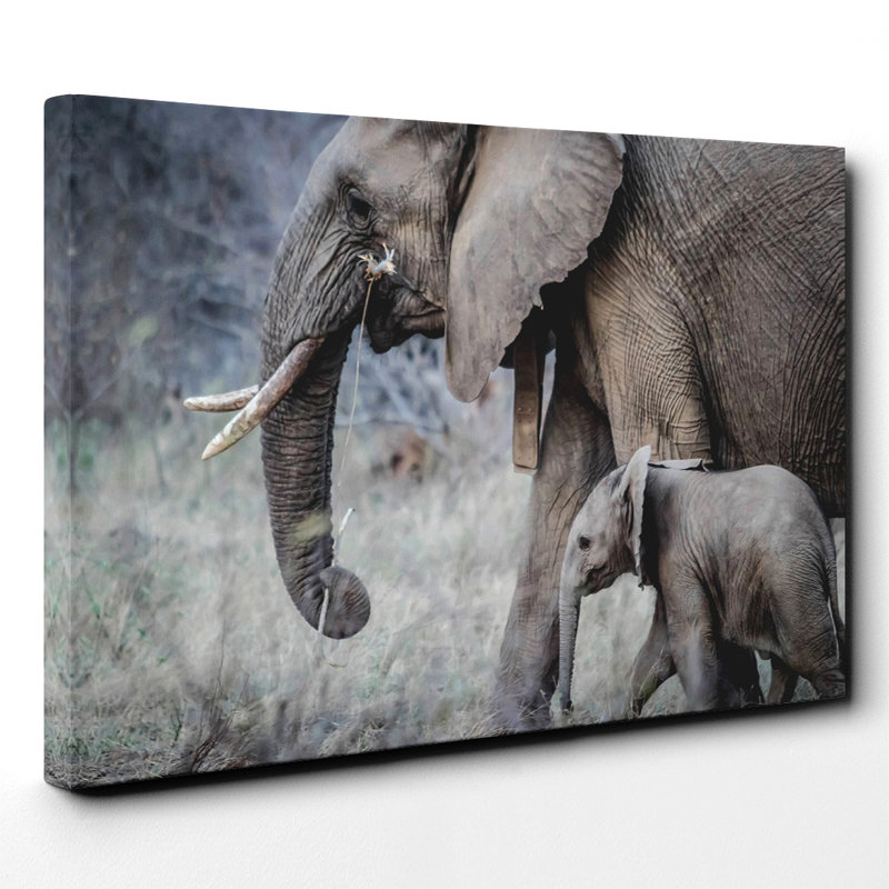 Mother and Baby Elephant Photographic - Wrapped Canvas, 40cm H x 60cm W