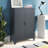Heslin 29.5'' Wide 3 - Shelf Storage Cabinet-1585208819