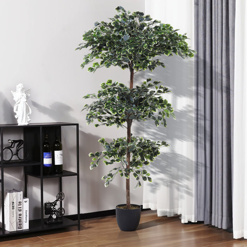 185cm Plant