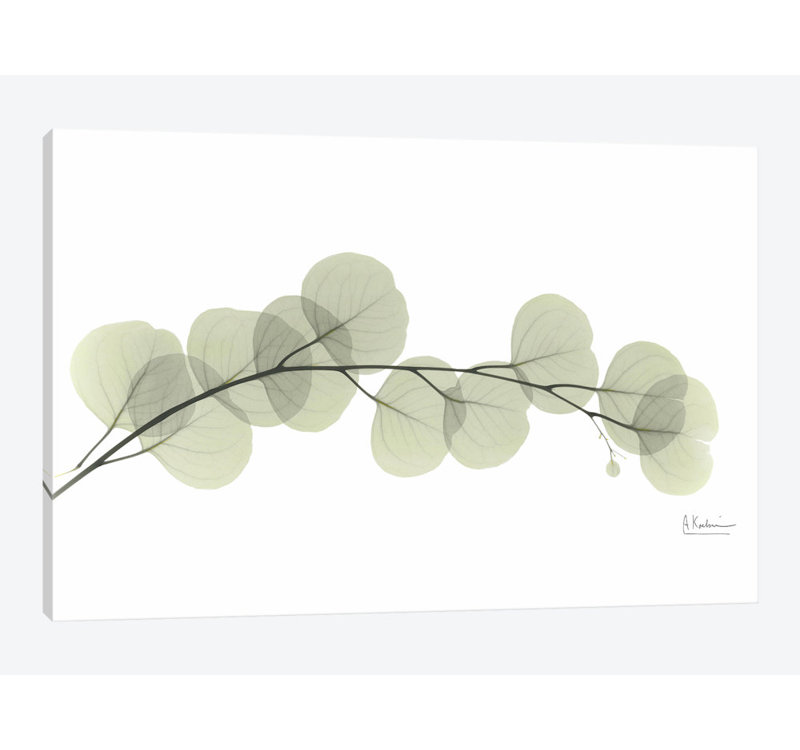 «Eucalyptus» par Albert Koetsier, reproduction sur toile, H 26 po x l 40 po x P 1,5 po, Toile tendue, Pas de tapis