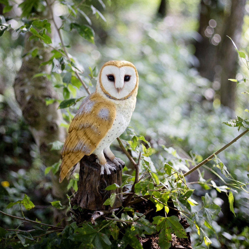 Yellow Barn Owl on branch | Handcrafted Decorative Bird Statue for Home & Garden | Premium Polyresin, Weather-Resistant Indoor/Outdoor Decor