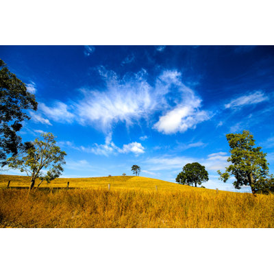 Oz Landscape by Murray Thorpe - Wrapped Canvas Print