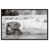 Black Frame is out of stock selected
