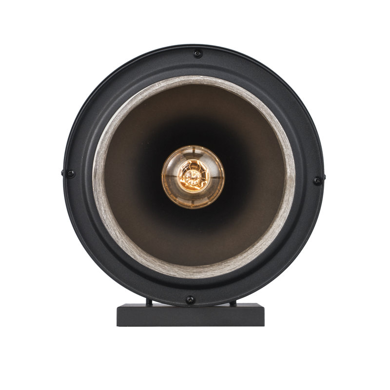 Lanterne murale pour l'extérieur Thorton, Noir, H 17,75 po x l 11 po x P 12,25 po