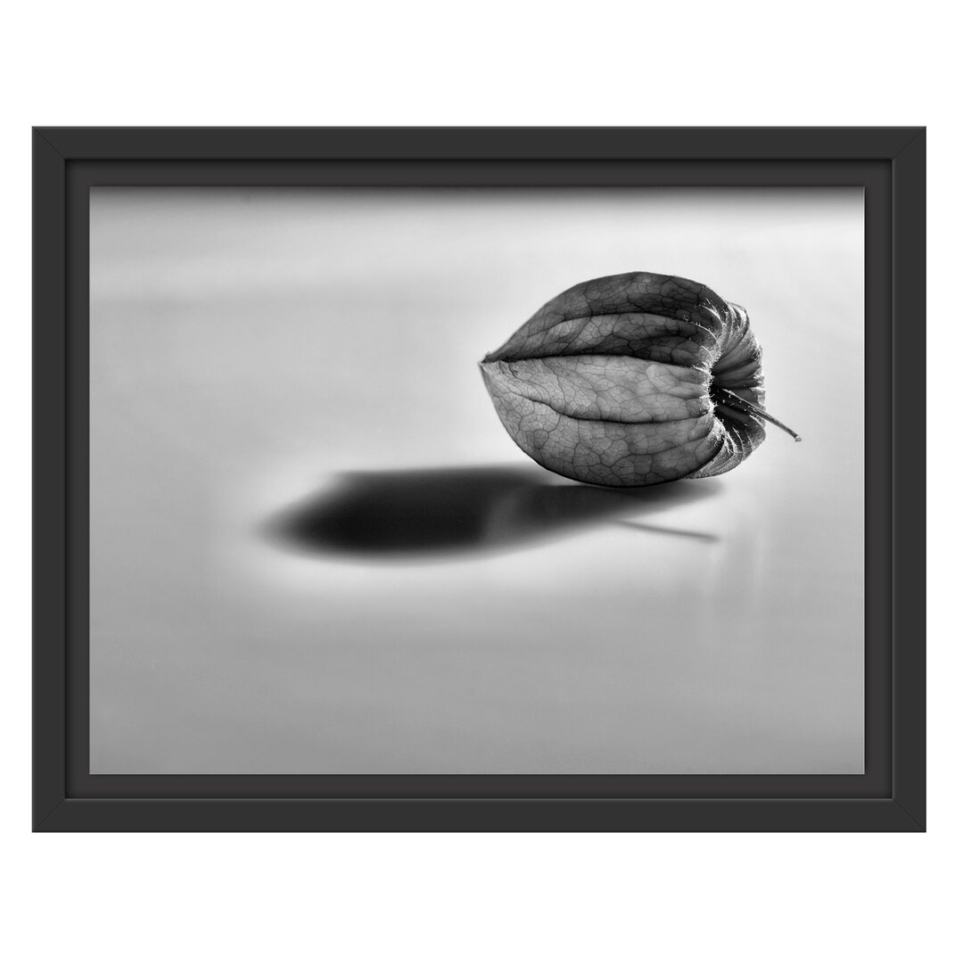 Gerahmtes Wandbild kleine Physalis