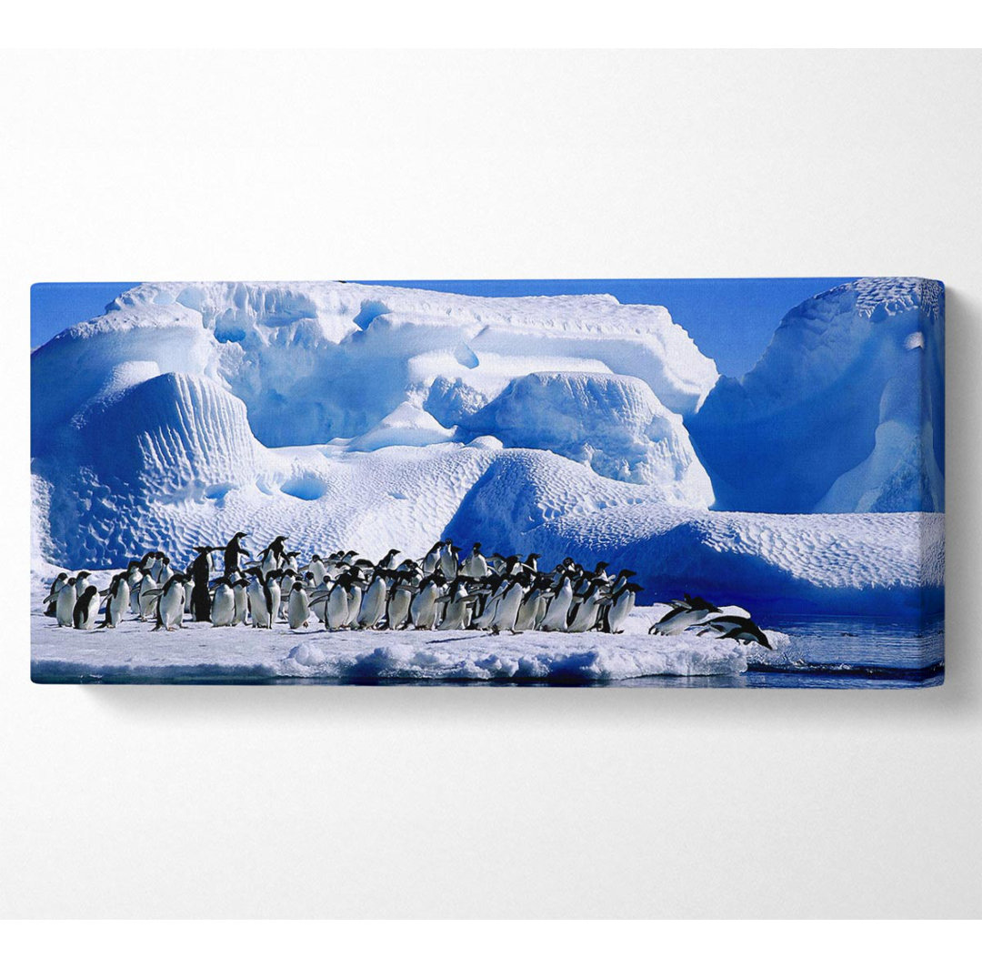 Der erste Tauchgang der Pinguine - Kunstdrucke auf Leinwand - Wrapped Canvas