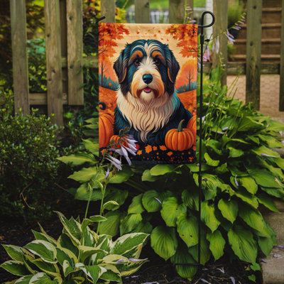 Drapeau de jardin barbu