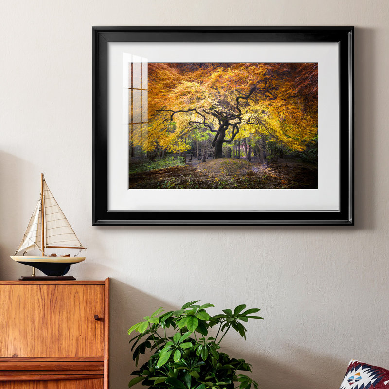 Hidden Jewel - Photographie avec cadre photo, H 30,5 po x l 42,5 po x P 1 po, Noir, Blanc