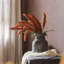 Ensemble d'œillets Millet-600177477-600177476