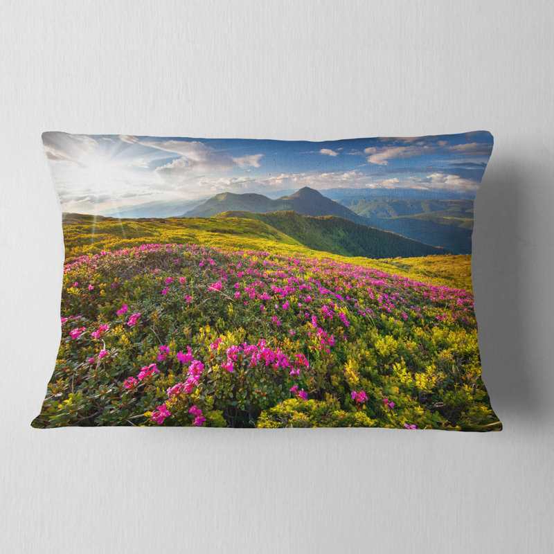 Coussin Schafer