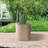 Ilfrod Pot Planter-1281304173-1281304174