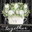 And So Together 2883734-465264836-438236321-438236320