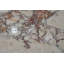 Table d'appoint en marbre Luxury-1162783738