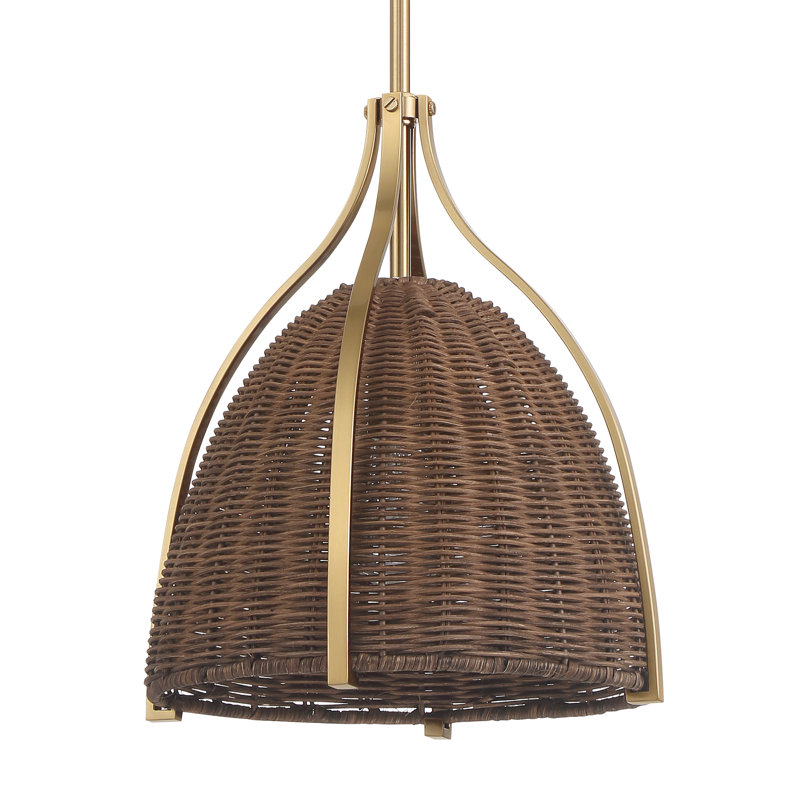 Hunter Arcelia 1 Light Pendant Ceiling Light Fixture