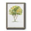 L’arbre I - Reproduction de cadre photo sur papier-1350331323-1350331314