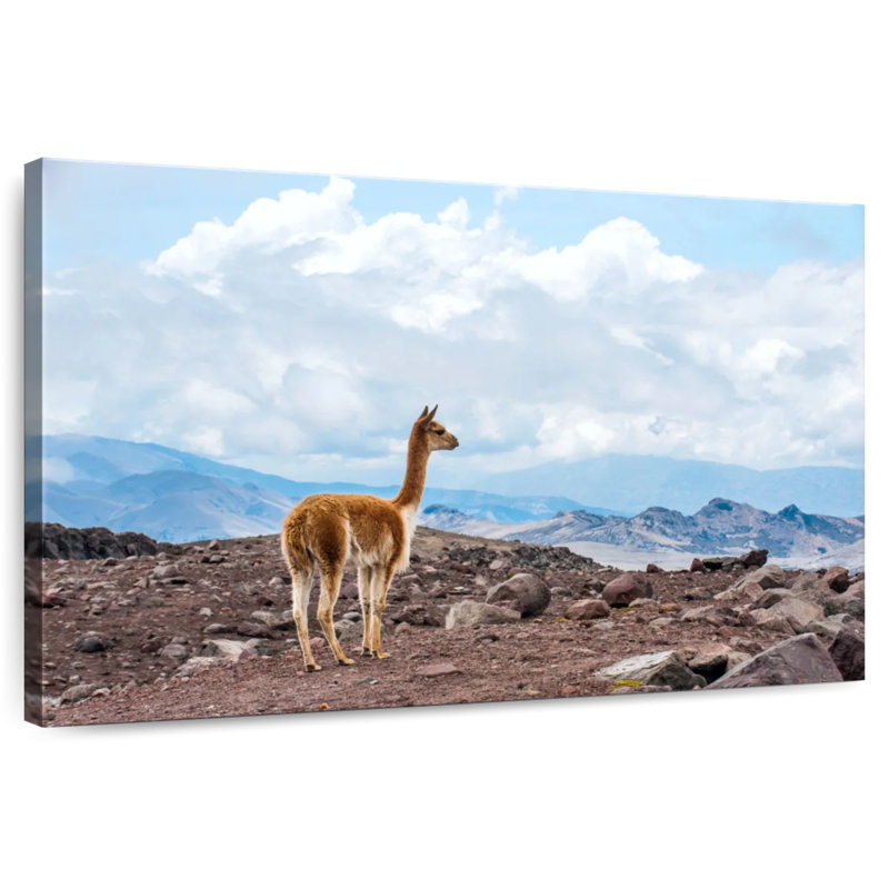 Brampt Vicuna, 8" H x 12" W