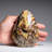 Polished Septarian Freeform from Madagascar (2.3 Lbs)