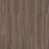 Chestnut selected