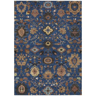 Machine Washable Indoor/Outdoor Chantille ACN2458 Traditional Rug