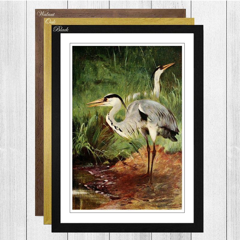 Wilhelm Kuhnert - Single Picture Frame Painting, Black
