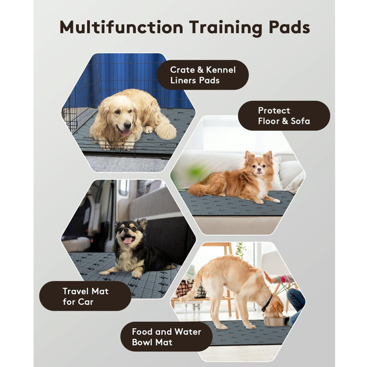 Washable & Reusable Potty Training Pads For Dog,  Absorbent/Waterproof/Machine Washable