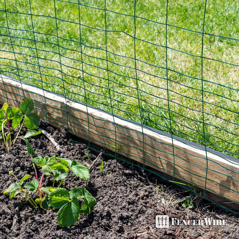 Green Vinyl Coated Welded Metal Chicken Wire Fence Roll