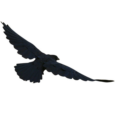 Batie Non-Wall Damaging Wall Decal