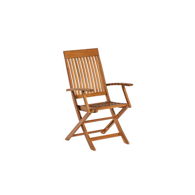 Choteau Foldable Outdoor Patio Dining Armchair
