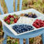 Cook & Host Stoneware Tray
