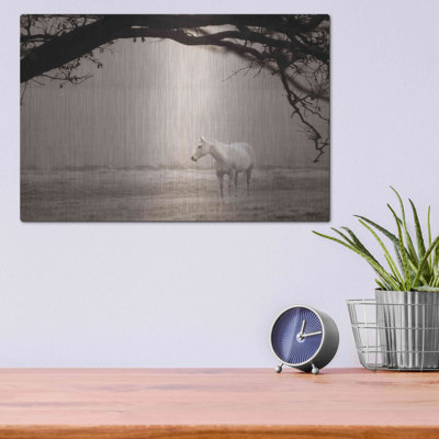 " Hazy Horse II " by Debra Van Swearingen