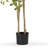 Artificial Pieris Tree In Nursery Pot-159632583
